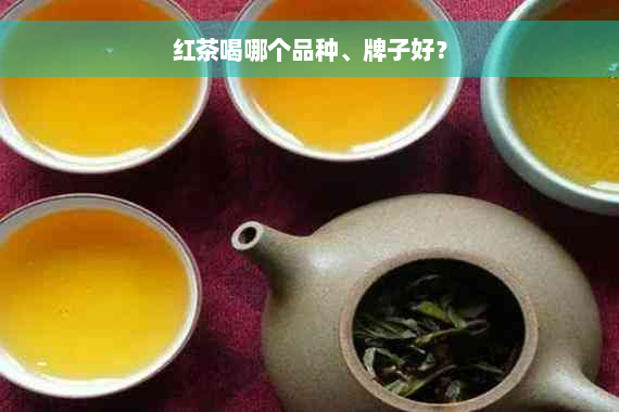 红茶喝哪个品种、牌子好？