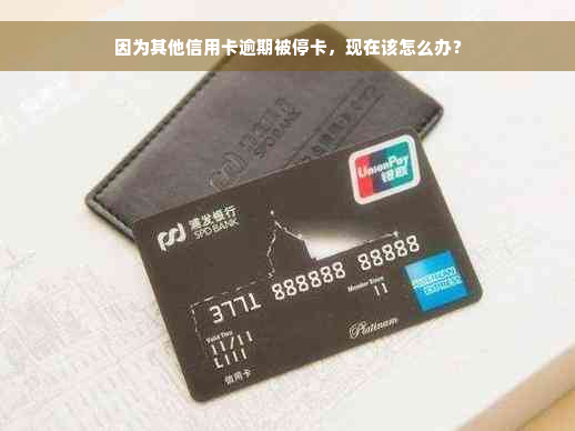 因为其他信用卡逾期被停卡，现在该怎么办？