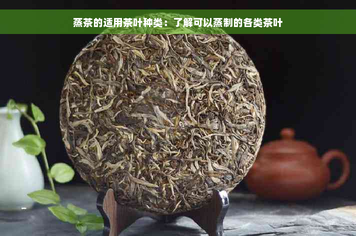 蒸茶的适用茶叶种类：了解可以蒸制的各类茶叶