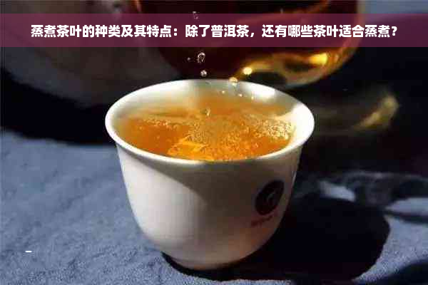 蒸煮茶叶的种类及其特点：除了普洱茶，还有哪些茶叶适合蒸煮？