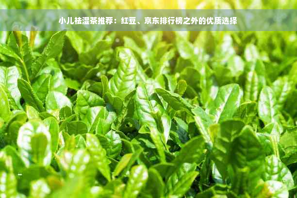 小儿祛湿茶推荐：红豆、京东排行榜之外的优质选择