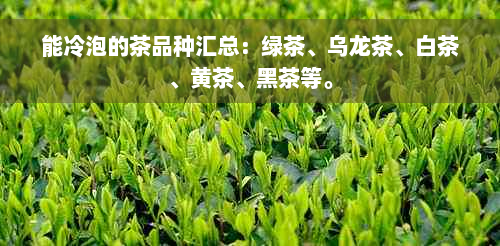 能冷泡的茶品种汇总：绿茶、乌龙茶、白茶、黄茶、黑茶等。