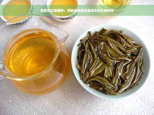 养胃的红茶哪种：详解最有效和最适合的红茶种类
