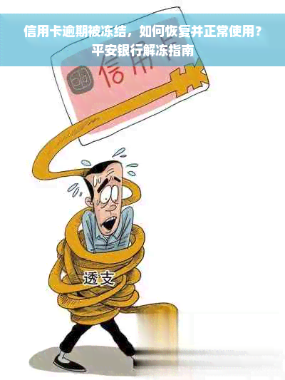 信用卡逾期被冻结，如何恢复并正常使用？平安银行解冻指南