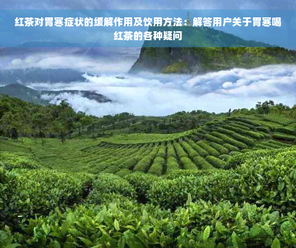 红茶对胃寒症状的缓解作用及饮用方法：解答用户关于胃寒喝红茶的各种疑问