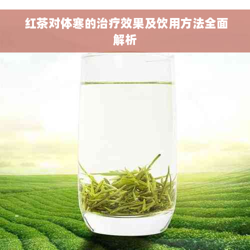 红茶对体寒的治疗效果及饮用方法全面解析