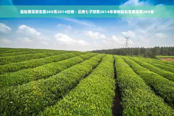 曼松普洱茶生茶200克2014价格 - 云南七子饼茶2014年老树曼松生普洱茶200克
