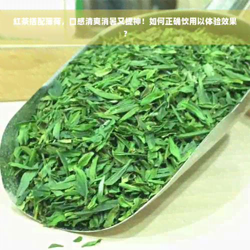 红茶搭配薄荷，口感清爽消暑又提神！如何正确饮用以体验效果？