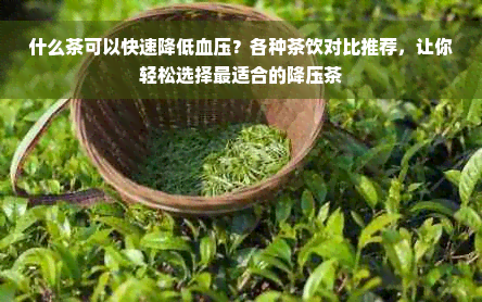 什么茶可以快速降低血压？各种茶饮对比推荐，让你轻松选择最适合的降压茶