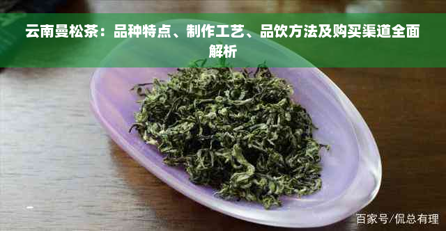 云南曼松茶：品种特点、制作工艺、品饮方法及购买渠道全面解析