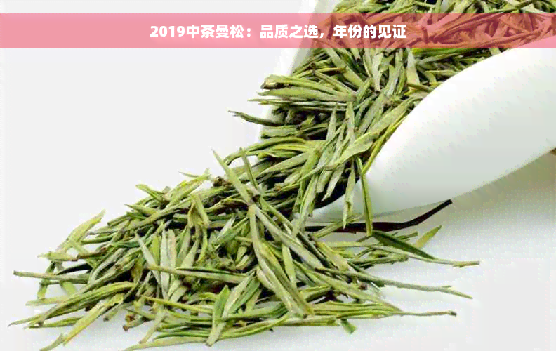 2019中茶曼松：品质之选，年份的见证