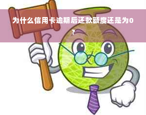 为什么信用卡逾期后还款额度还是为0?