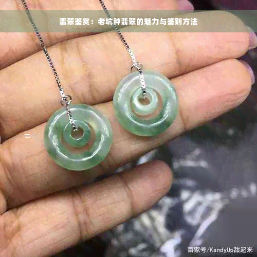 翡翠鉴赏：老坑种翡翠的魅力与鉴别方法