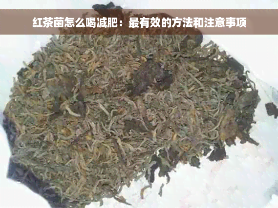 红茶菌怎么喝减肥：最有效的方法和注意事项