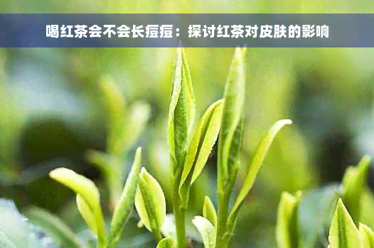 喝红茶会不会长痘痘：探讨红茶对皮肤的影响