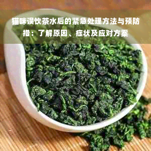 猫咪误饮茶水后的紧急处理方法与预防措：了解原因、症状及应对方案