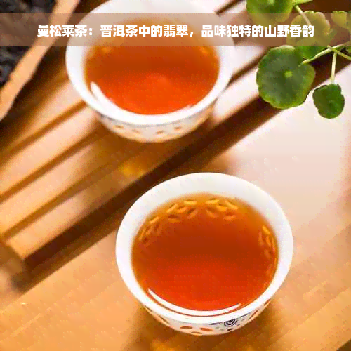 曼松莱茶：普洱茶中的翡翠，品味独特的山野香韵