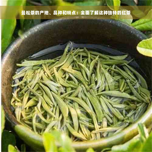 曼松茶的产地、品种和特点：全面了解这种独特的红茶