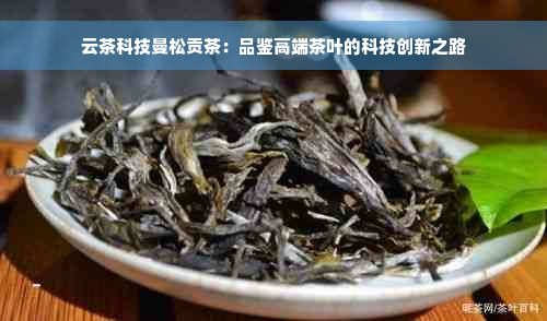云茶科技曼松贡茶：品鉴高端茶叶的科技创新之路