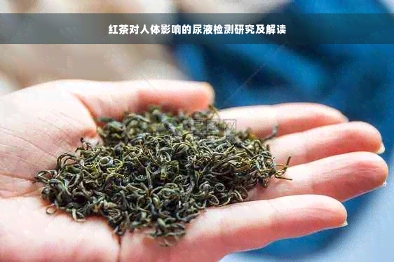 红茶对人体影响的尿液检测研究及解读