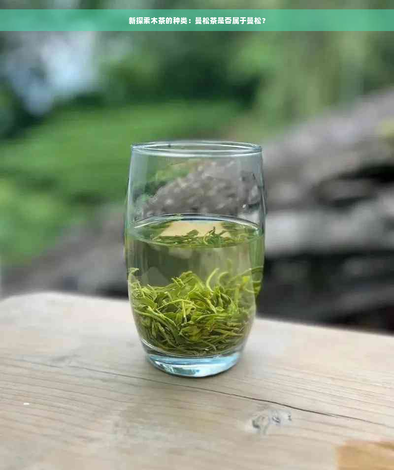 新探索木茶的种类：曼松茶是否属于曼松？