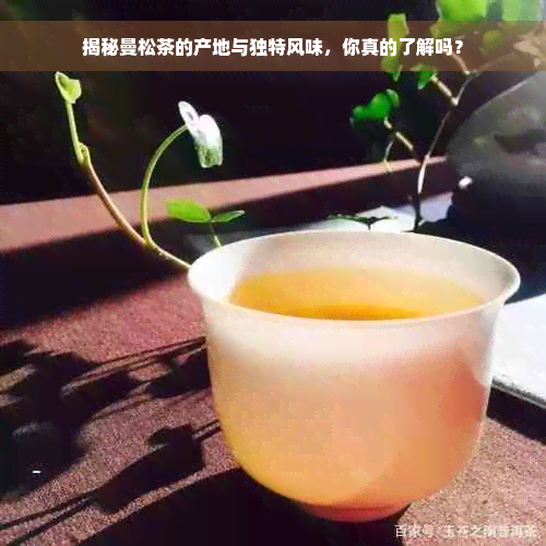 揭秘曼松茶的产地与独特风味，你真的了解吗？