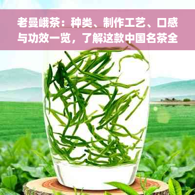 老曼峨茶：种类、制作工艺、口感与功效一览，了解这款中国名茶全貌