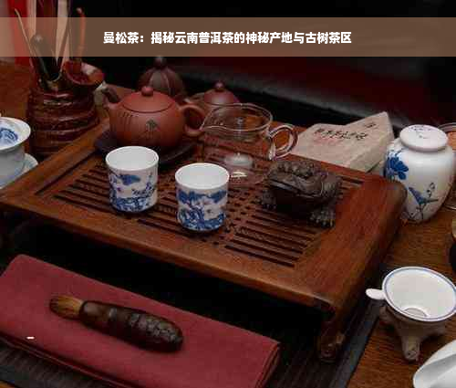 曼松茶：揭秘云南普洱茶的神秘产地与古树茶区