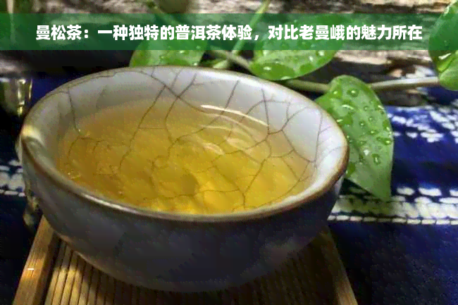 曼松茶：一种独特的普洱茶体验，对比老曼峨的魅力所在