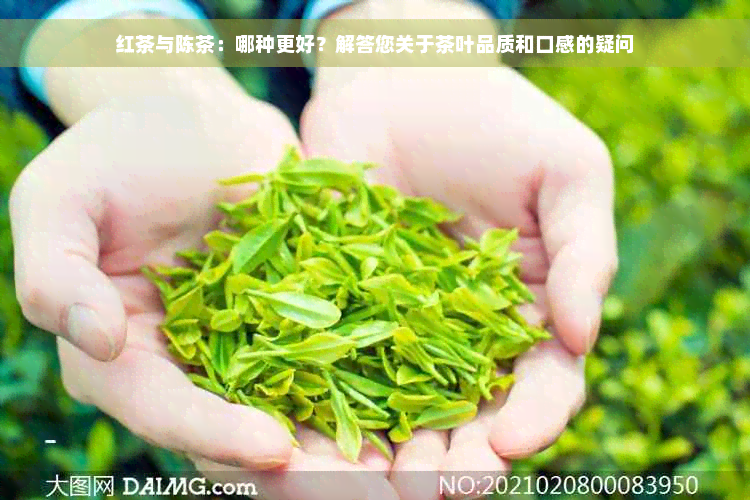 红茶与陈茶：哪种更好？解答您关于茶叶品质和口感的疑问