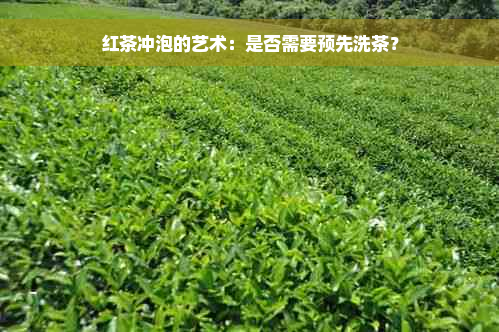 红茶冲泡的艺术：是否需要预先洗茶？