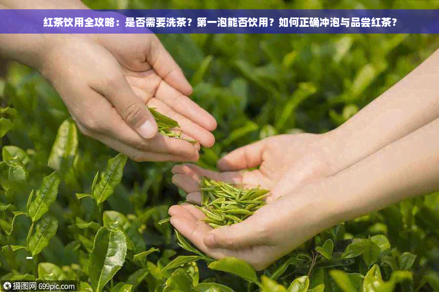 红茶饮用全攻略：是否需要洗茶？之一泡能否饮用？如何正确冲泡与品尝红茶？