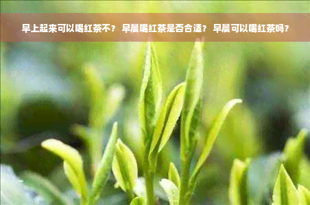 早上起来可以喝红茶不？ 早晨喝红茶是否合适？ 早晨可以喝红茶吗？