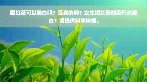 喝红茶可以美白吗？是真的吗？女生喝红茶能否有效美白？请提供科学依据。