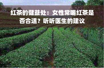 红茶的健益处：女性常喝红茶是否合适？听听医生的建议