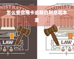 怎么查信用卡逾期的利息和本金