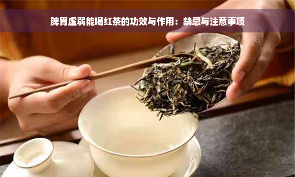 脾胃虚弱能喝红茶的功效与作用：禁忌与注意事项
