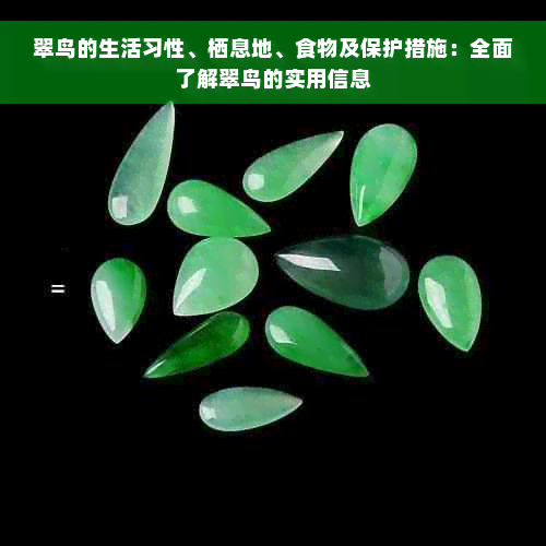 翠鸟的生活习性、栖息地、食物及保护措施：全面了解翠鸟的实用信息