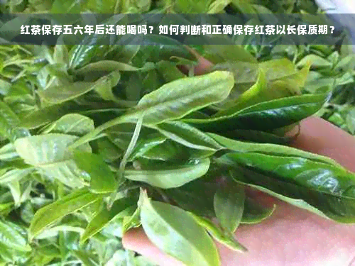 红茶保存五六年后还能喝吗？如何判断和正确保存红茶以长保质期？