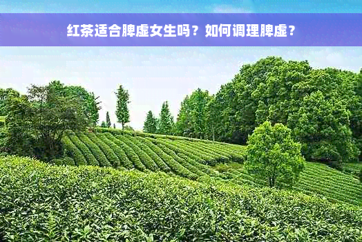 红茶适合脾虚女生吗？如何调理脾虚？