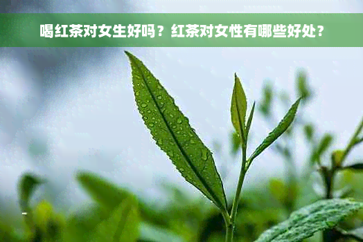 喝红茶对女生好吗？红茶对女性有哪些好处？