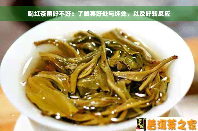 喝红茶菌好不好：了解其好处与坏处，以及好转反应