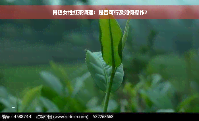 胃热女性红茶调理：是否可行及如何操作？