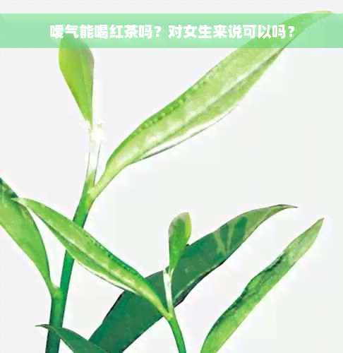 嗳气能喝红茶吗？对女生来说可以吗？