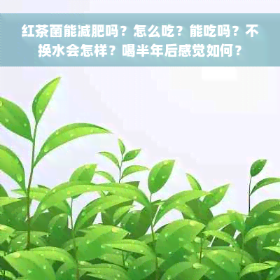 红茶菌能减肥吗？怎么吃？能吃吗？不换水会怎样？喝半年后感觉如何？