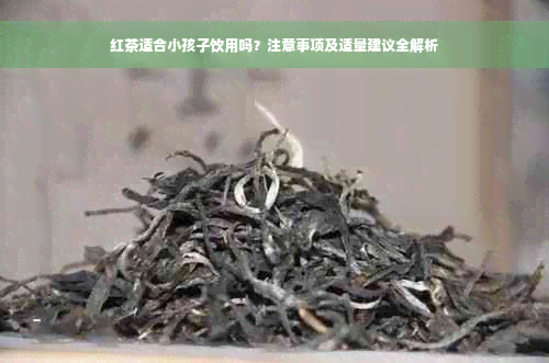 红茶适合小孩子饮用吗？注意事项及适量建议全解析