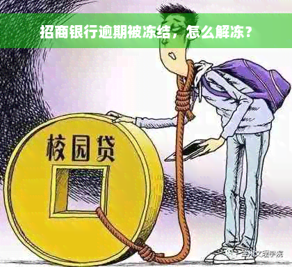 招商银行逾期被冻结，怎么解冻？