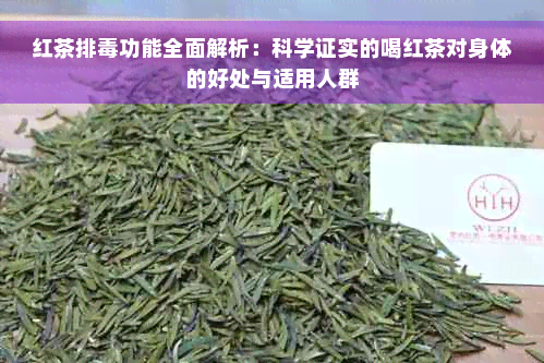 红茶排毒功能全面解析：科学证实的喝红茶对身体的好处与适用人群