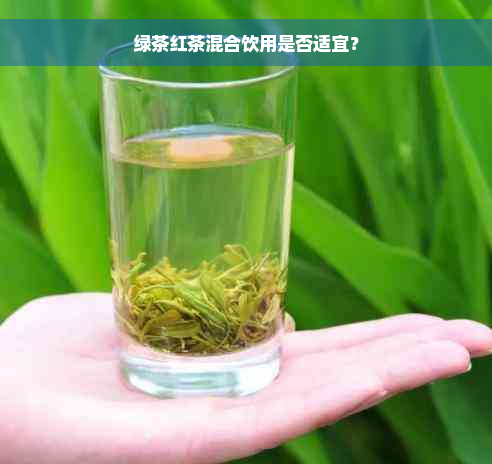 绿茶红茶混合饮用是否适宜？