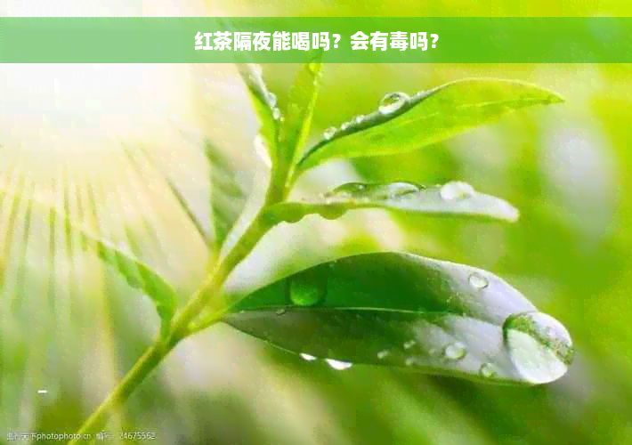 红茶隔夜能喝吗？会有毒吗？